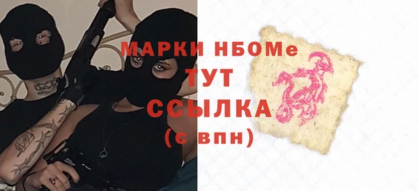 хмурый Абаза