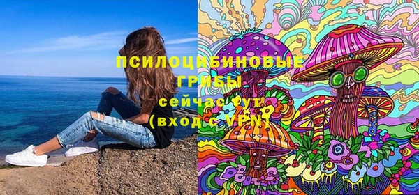 хмурый Абаза