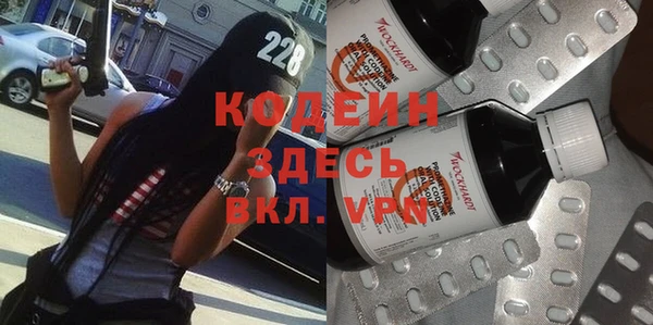 хмурый Абаза