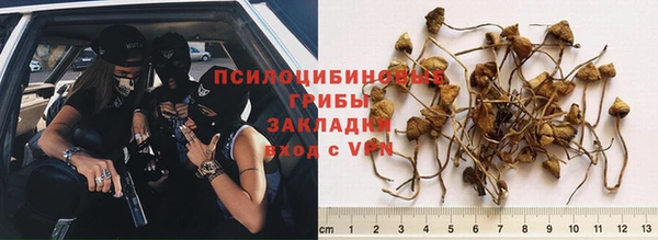 mix Абинск