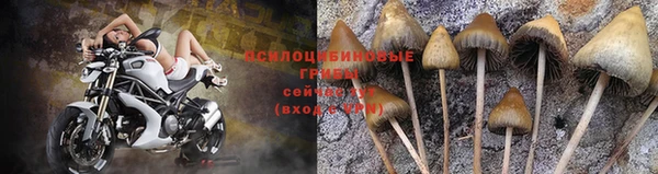 mix Абинск