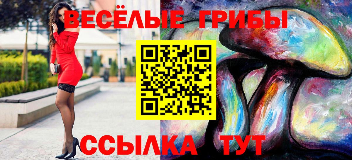 Псилоцибиновые грибы Psilocybe Янаул