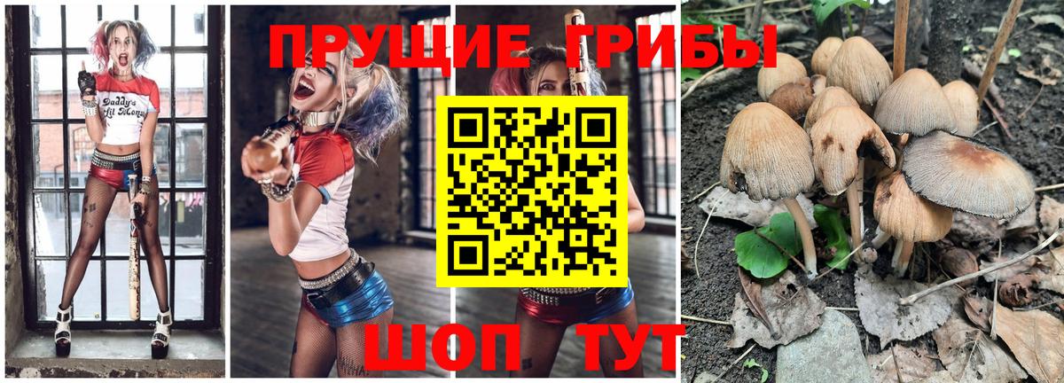 Янаул  Галлюциногенные грибы прущие грибы  Вход с VPN 